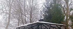 Оптино
