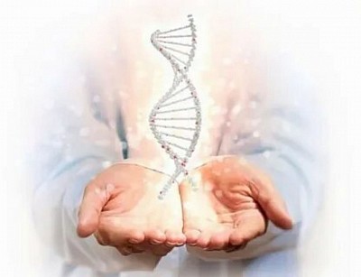 Помощь на клеточном уровне через систему ДНК специалиста .  .